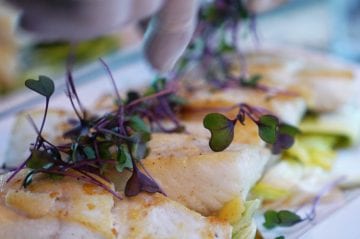 cooked fish fillets with micro greens on top
