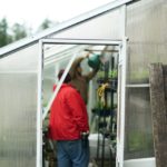 two men in a greenhouse watering plants
