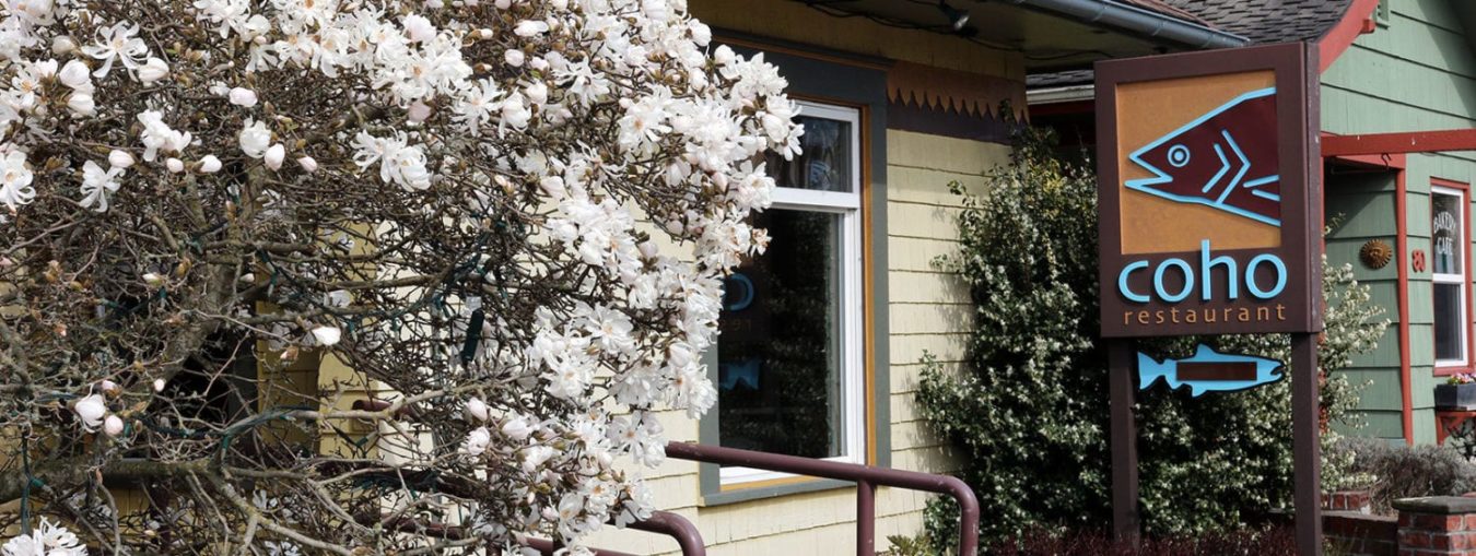 outside of Coho restaurant with blooming white Magnolia