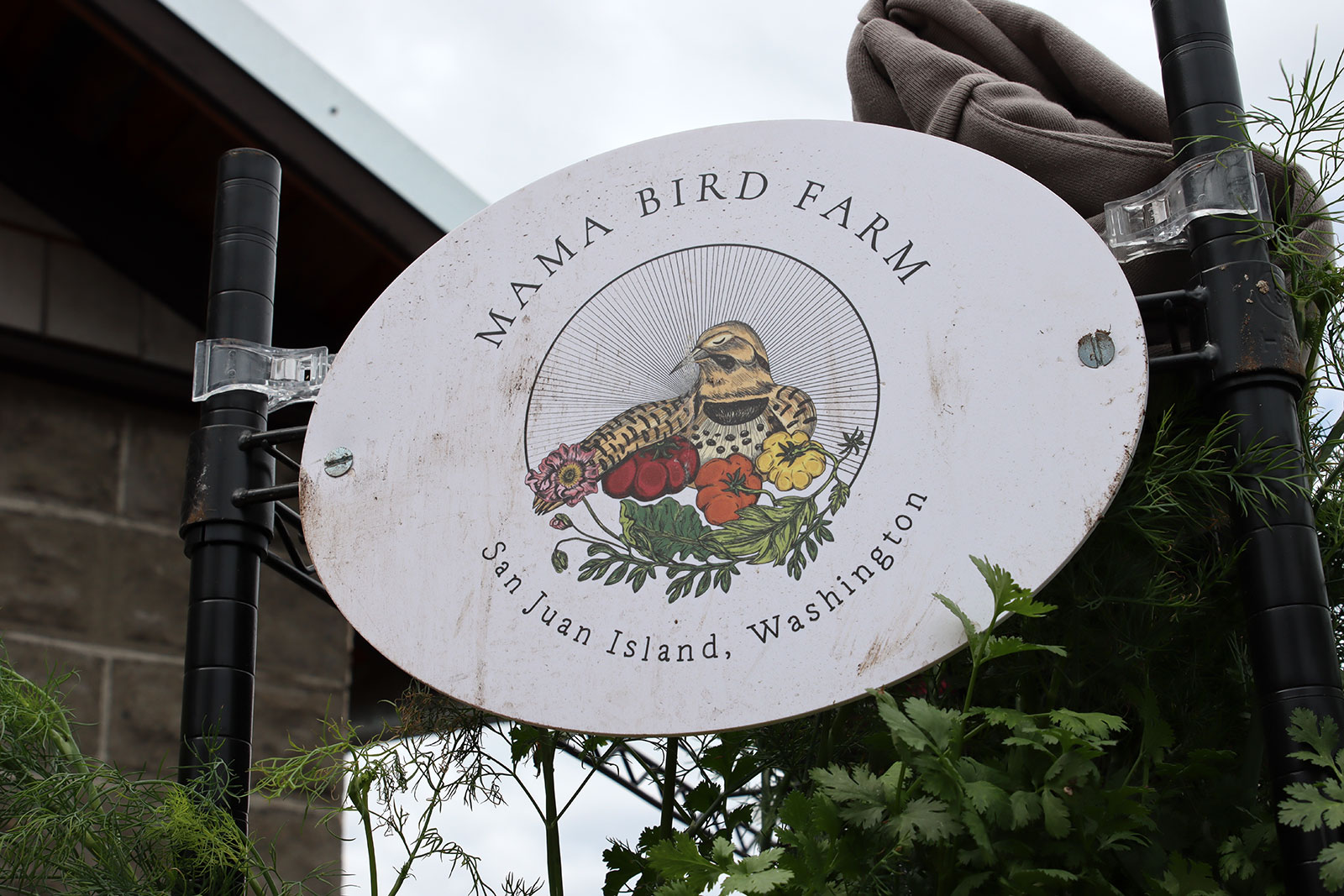 Mama Bird Farm veggie starts