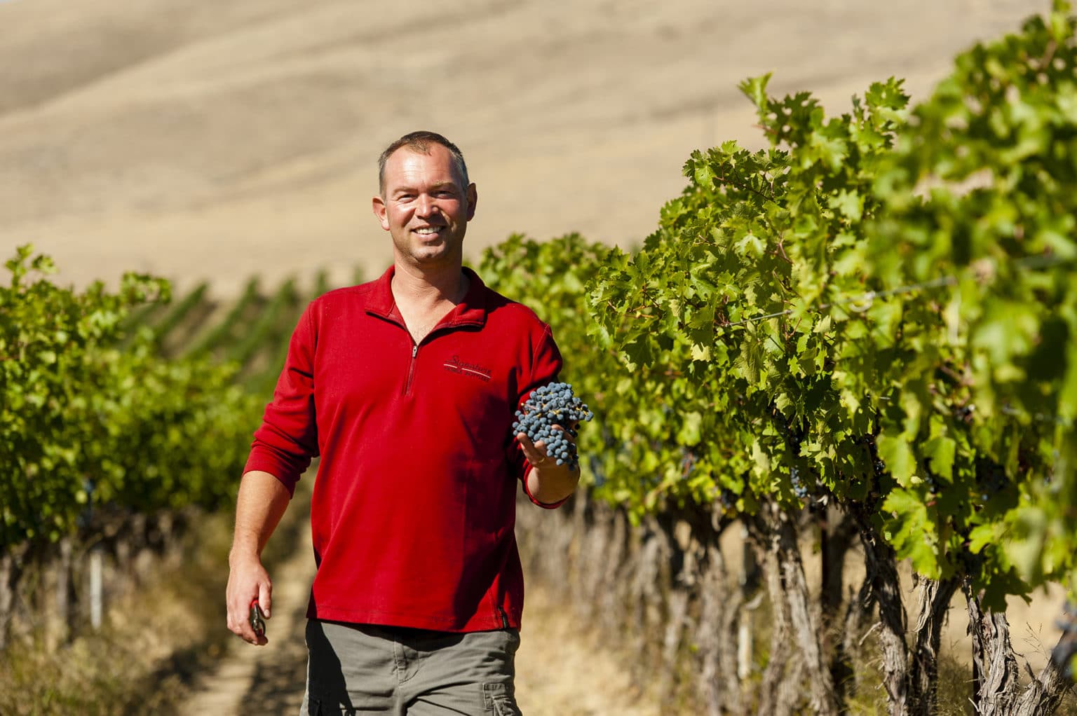 June 28: Long Shadows Anniversary Dinner With Winemaker Gilles Nicault ...