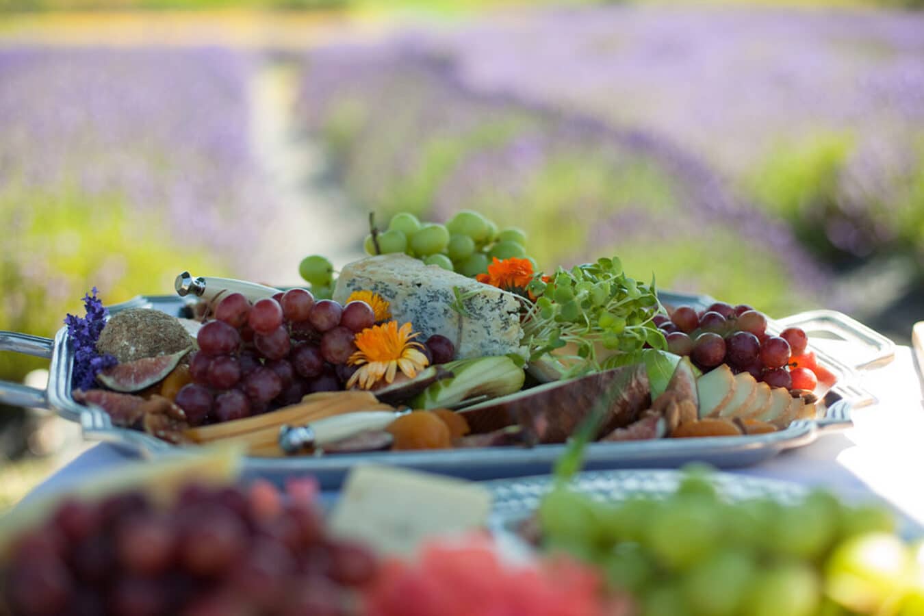 Fruit cheese platter